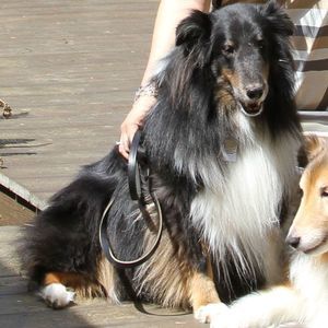 Meet your Posher, Pamela